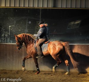 Clinic Weert (Limburg) @ Dutch Drovers Run