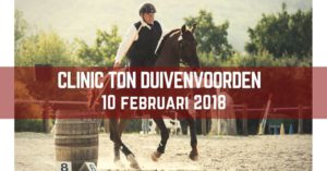 Clinic Working Equitation met Ton Duivenvoorden @ Hdm Stables | Someren-Heide | Netherlands